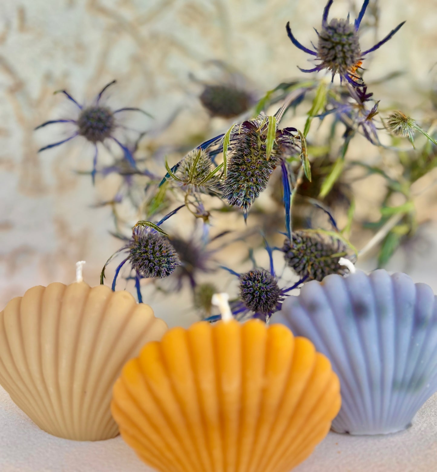 Mini Shell
