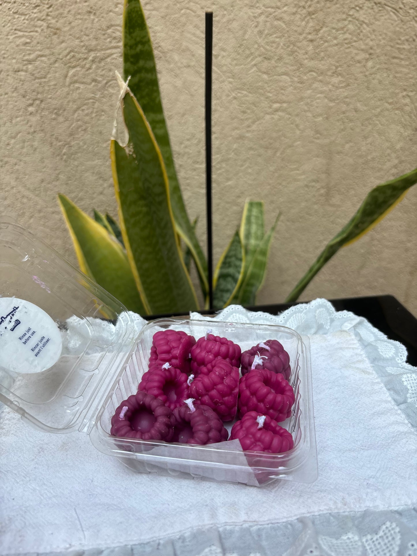 Raspberry Box