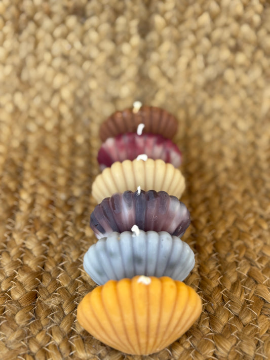 Mini Shell