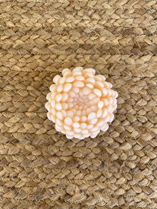 נר חרצית גדול