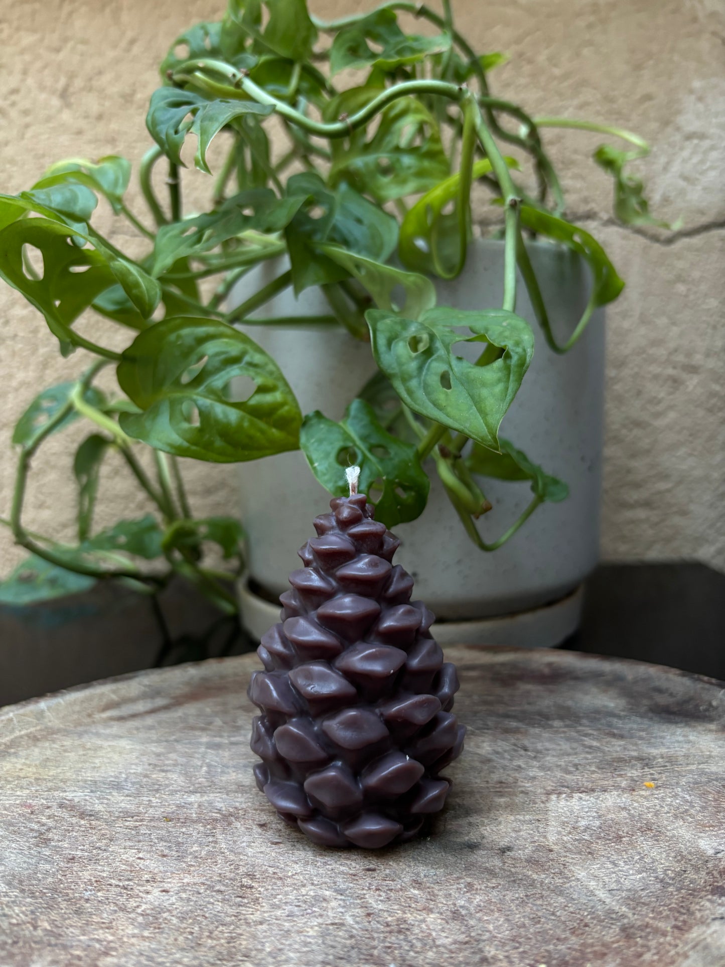 Pinecone candle